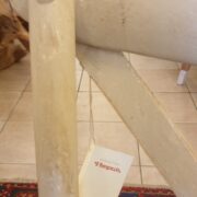 Sedia in olmo laccata a mano. Particolare. Mobili country Siena e Firenze